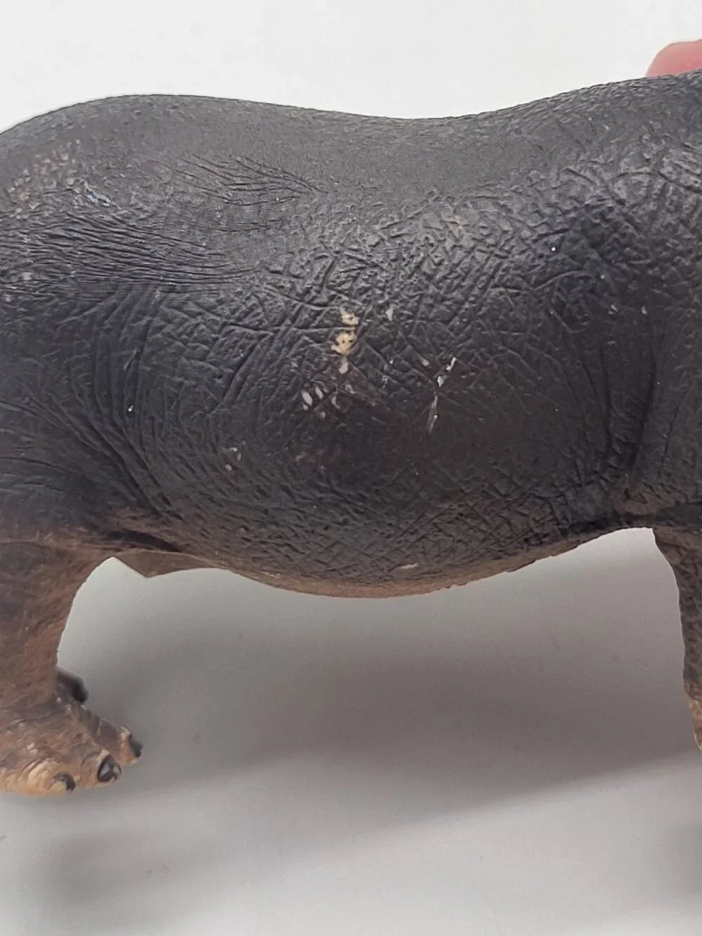 Schleich Hippo D-73527 Hippopotamus Mouth Closed Wildlife Toy Figure
